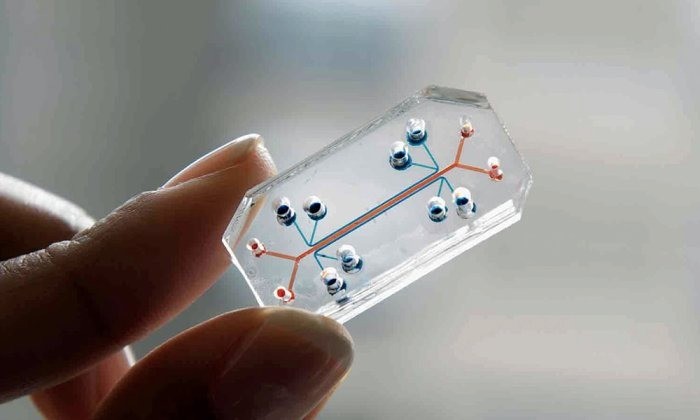 Thiết bị chip phổi. Ảnh: Viện Đại học Harvard chip phoi nhan tao - Vien Dai hoc Harvard.jpg