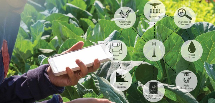 Blockchain là phương thức hiệu quả để thực hiện truy xuất nguồn gốc sản phẩm ung-dung-block-chain-trong truy xuat nguon goc.jpg