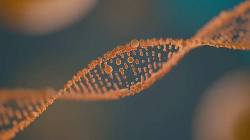 DNA. Ảnh: Freepik DNA - Freepik.jpg