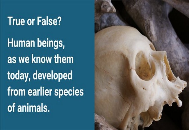 Ảnh Business Insider Ảnh Business Insider