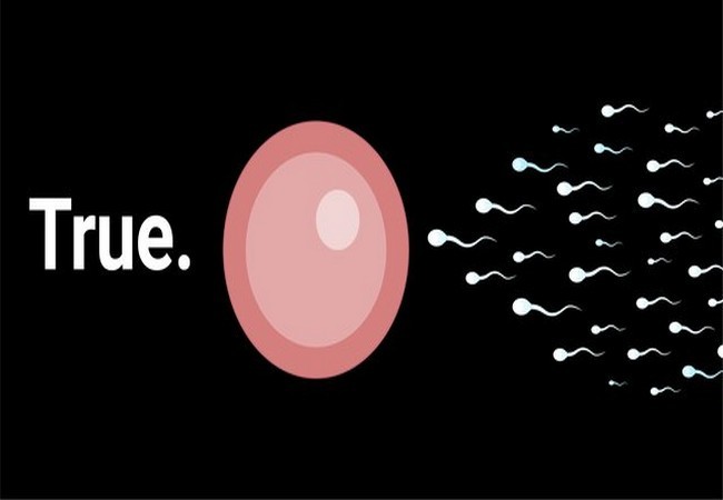 Ảnh Business Insider Ảnh Business Insider