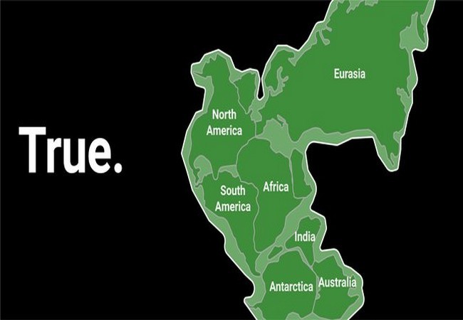 Ảnh Business Insider Ảnh Business Insider