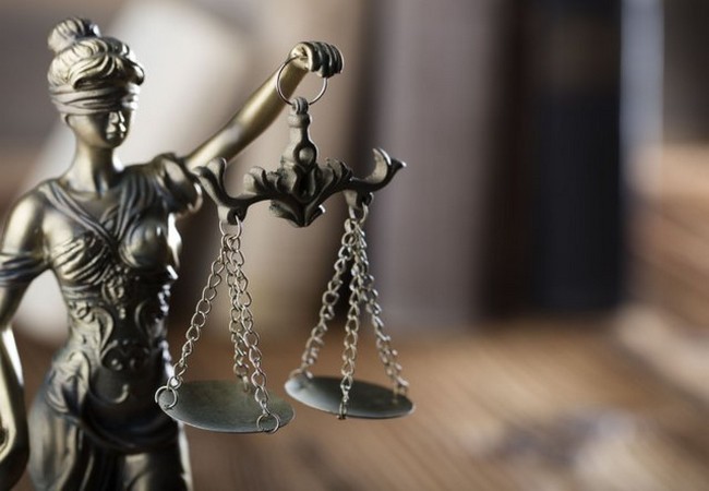 Ảnh minh họa (The Conservation) Ảnh minh họa (The Conservation)