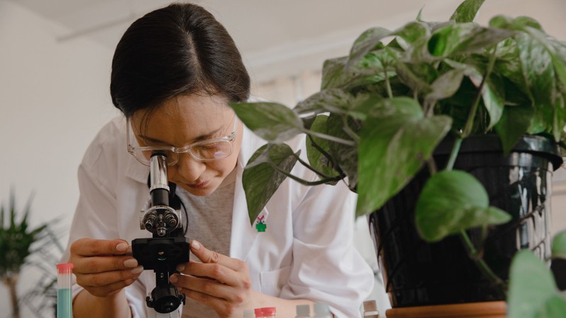 Trường hợp chưa bố trí được nhà ở công vụ thì Kiến trúc sư trưởng Dự án được hỗ trợ tiền thuê nhà, phương tiện đi lại và điều kiện làm việc tương đương với Vụ trưởng thuộc bộ hoặc Giám đốc sở ở tỉnh. 4.jpg