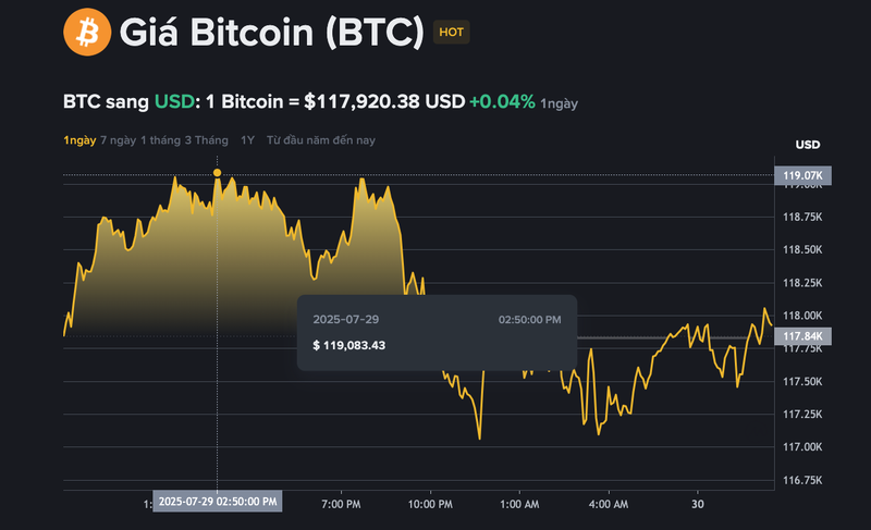Giá bitcoin đạt đỉnh tại 119.083 USD/BTC trong vòng 24h qua. Giá bitcoin đạt đỉnh tại 119.083 USD/BTC trong vòng 24h qua.
