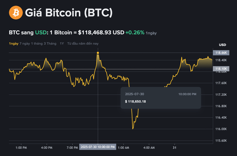 Giá bitcoin đạt đỉnh tại 118.650 USD/BTC trong vòng 24h qua. Ảnh chụp Màn hình 2025-07-31 lúc 11.30.56.png