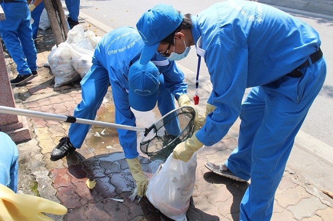 Thanh niên tình nguyện tập chung vớt cá chết.