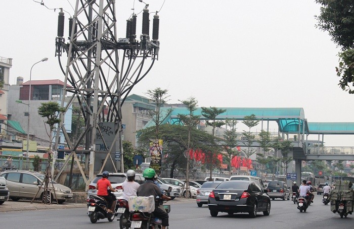 Loại cây thân gỗ nhỏ này có thể cao từ 10- 20m, cành thẳng, mọc vòng nhếch lên trên, tạo thành từng tầng.