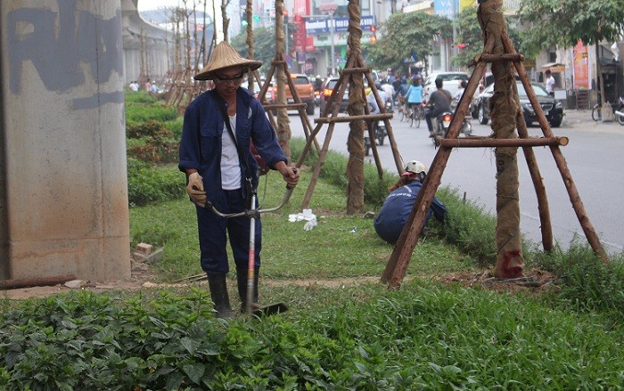 Công nhân chật vật cắt cỏ dại trên phố.