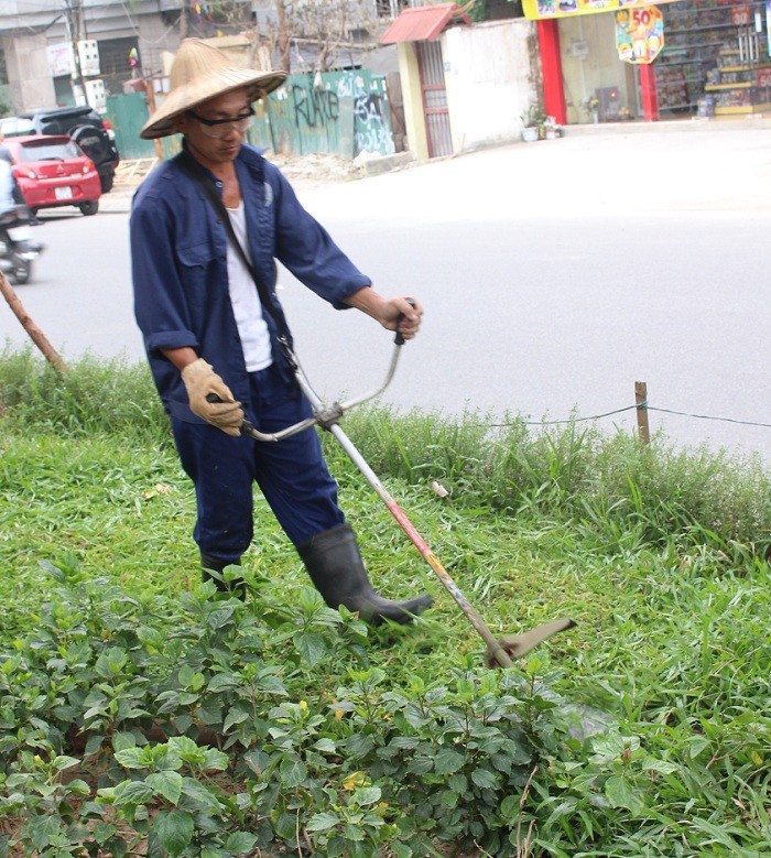 Một công nhân cho biết, công ty bắt đầu chỉ đạo đi cắt cỏ từ ngày 9/10. Ban đầu sẽ cắt cỏ ở những địa điểm cỏ mọc cao theo sự chỉ đạo của công ty.