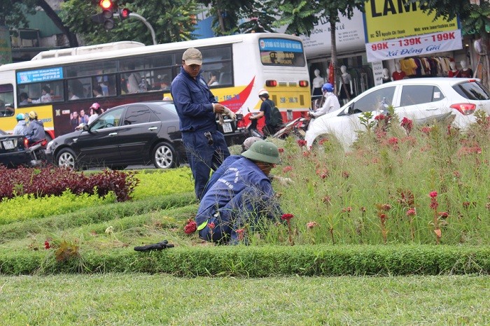 Cỏ dại và cây hoa không được cắt khiến thẩm mỹ trên các tuyến đường bị ảnh hưởng.