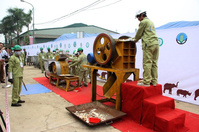 Chiều nay, chính thức tiêu huỷ 2 tấn ngà voi tại Sóc Sơn-Hà Nội ảnh 7