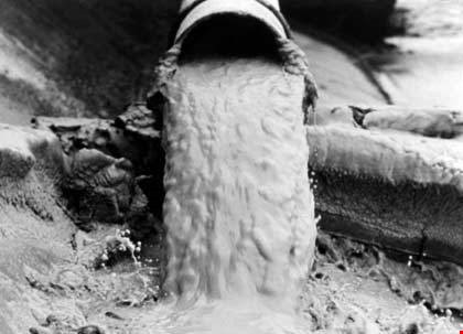 Cá chết ở miền Trung: Giật mình sự kiện khủng khiếp vịnh Minamata ảnh 1