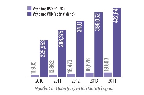 Điểm sáng từ nợ vay do Chính phủ bảo lãnh ảnh 1