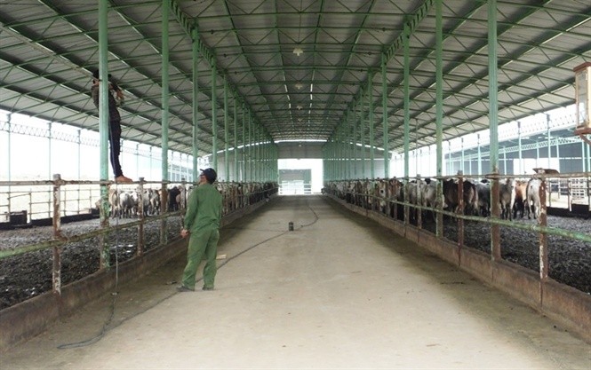Mipec của ai? ảnh 6 Một dự án không thấy trong báo cáo