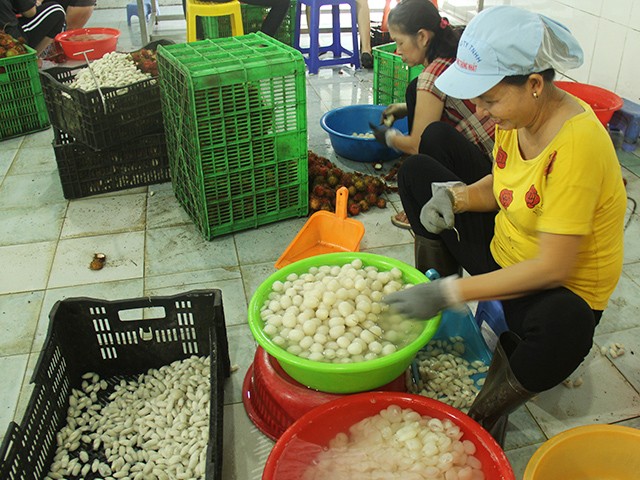 Bà Ba Sương nói rằng bà tuyển và tạo việc làm cho các công nhân bị các khu công nghiệp cho nghỉ, trên độ tuổi 30 tới 60.