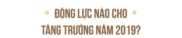TS. Nguyễn Đình Cung nói gì về hệ quả của việc ưu tiên nguồn lực cho các chaebol Việt Nam? - Ảnh 7.