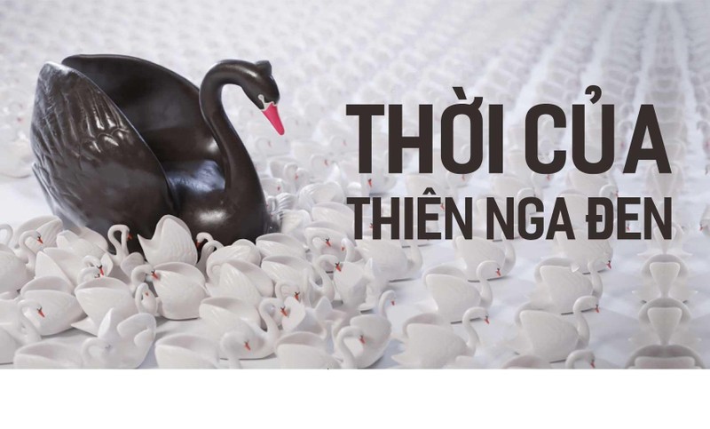 Thời của "thiên nga đen"