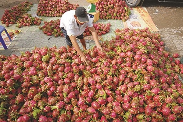 Áp lực lớn cho chính sách tiền tệ Việt Nam trong mùa dịch ảnh 2 Áp lực lớn cho chính sách tiền tệ Việt Nam trong mùa dịch ảnh 2