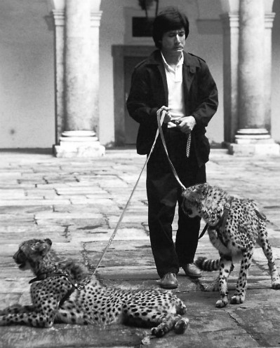 Cũng trong phim "Áo giáp thượng đế" được quay ở Nam Tư, Thành Long kể kỷ niệm "thoát chết khỏi miệng báo". Trong lúc anh diễn, chú báo không chịu hợp tác nhảy chồm lên như kịch bản mà nằm ỳ một chỗ. Sốt ruột, Thành Long giục người chủ giật dây, không ngờ anh bị con vật đuổi theo đến mức suýt mất mạng.