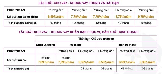 Các gói ưu đãi lãi suất tại Bắc Á.