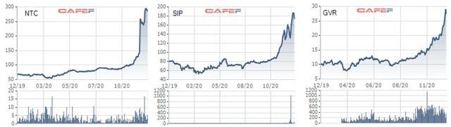 Biến động cổ phiếu Khu công nghiệp, cao su trong năm 2020 Biến động cổ phiếu Khu công nghiệp, cao su trong năm 2020