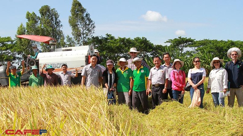 Lộc Trời: Đằng sau sự chấm dứt với Syngenta và mô hình nhà máy 1 triệu ha sản xuất ‘Just in time’