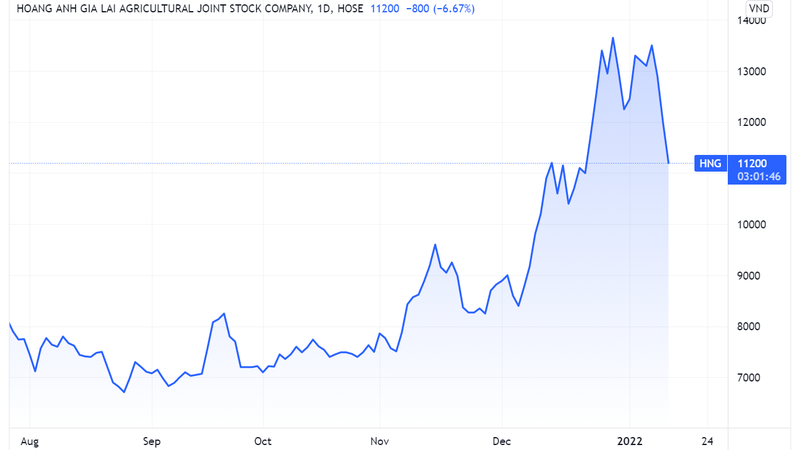 Diễn biến giá cổ phiếu HNG (Nguồn: Tradingview)