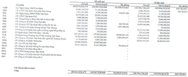 Danh mục cổ phiếu thời điểm cuối năm 2021 của NDN dài không kém danh mục tự doanh của các CTCK