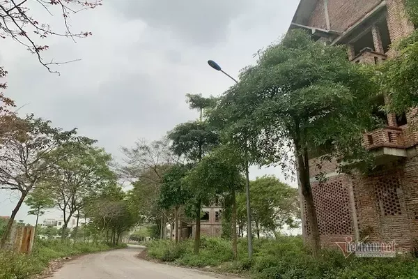 Nhiều căn biệt thự bỏ hoang ở khu đô thị Hà Phong (Mê Linh, Hà Nội) Nhiều căn biệt thự bỏ hoang ở khu đô thị Hà Phong (Mê Linh, Hà Nội)