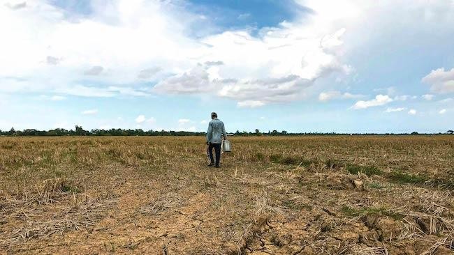 Cánh đồng khô nứt nẻ tại tỉnh Sóc Trăng vào tháng 5/2019. Cánh đồng khô nứt nẻ tại tỉnh Sóc Trăng vào tháng 5/2019.