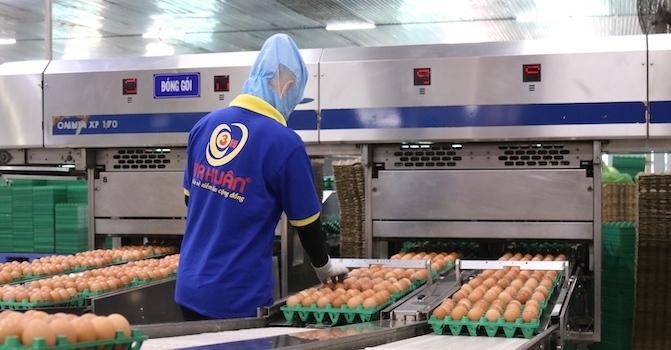 Ba Huân có hơn 50 năm kinh nghiệm trong ngành trứng gia cầm Việt Nam Ba Huân có hơn 50 năm kinh nghiệm trong ngành trứng gia cầm Việt Nam