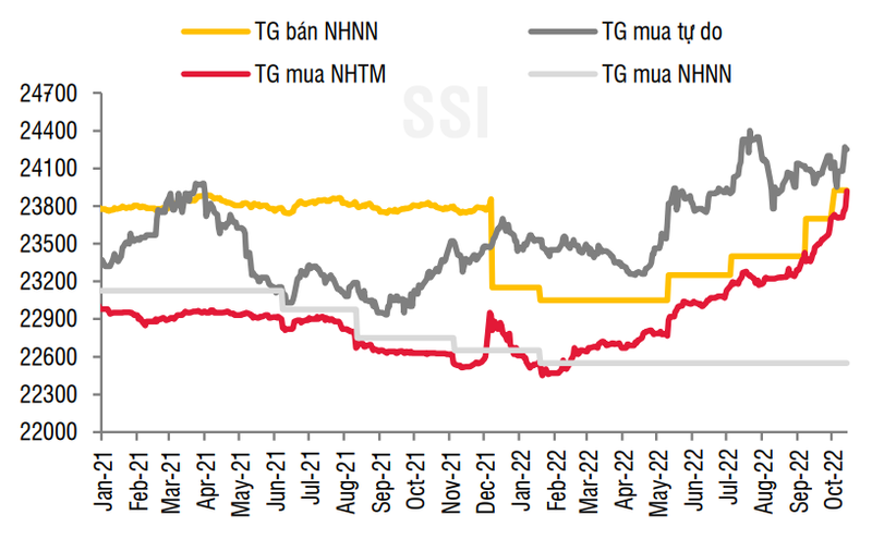 Diễn biến các tỷ giá điều hành của NHNN (Nguồn: SSI)
