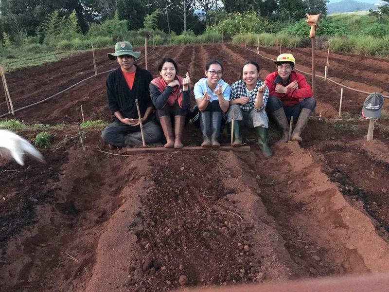 Nguyễn Tường Miên (người mang khăn rằn) cùng các cộng sự quyết cải tạo đất