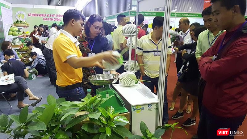 Unifarm là một trong những trang trại đầu tiên thành công với Dưa lưới