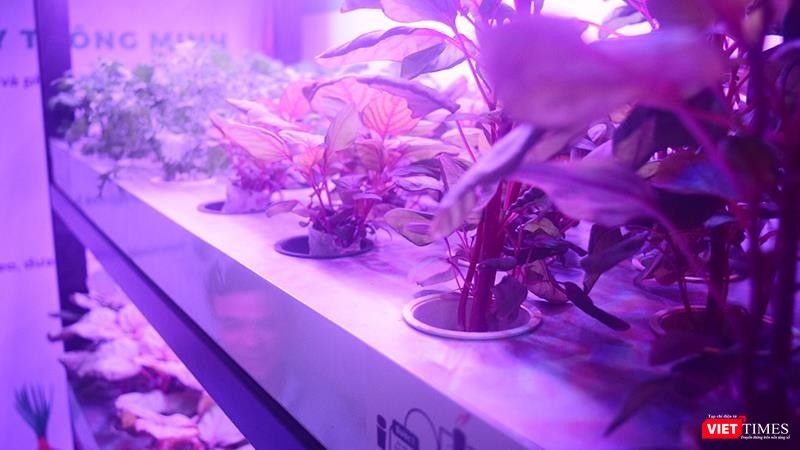 Công ty CP Giải pháp Nông nghiệp thông minh cam kết Tủ rau thông minh là giải pháp giảm thiểu tác động tới môi trường