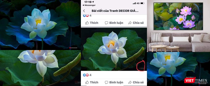 Tác phẩm gốc của Dương Quốc Định bị vi phạm tại Tranh Décor (số 55 đường 12, La Phù, Hoài Đức) Tác phẩm gốc của Dương Quốc Định bị vi phạm tại Tranh Décor (số 55 đường 12, La Phù, Hoài Đức)
