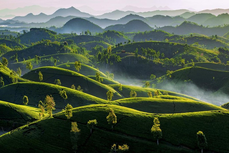 “Trung Du thức giấc” - tác giả Nguyễn Thị Hải Yến (Phú Thọ) “Trung Du thức giấc” - tác giả Nguyễn Thị Hải Yến (Phú Thọ)