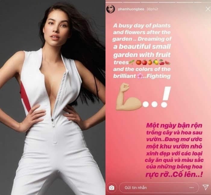 Status được cho là đã đưa lên mạng xã hội bởi tài khoản của Hoa hậu Phạm Hương
