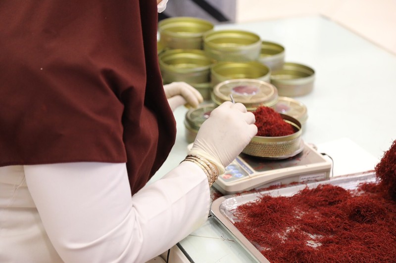 Công đoạn sản xuất Saffron tỉ mỉ và nghiêm ngặt Công đoạn sản xuất Saffron tỉ mỉ và nghiêm ngặt