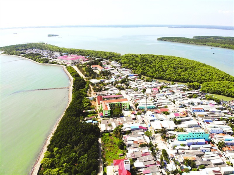 73 ha Rừng Cần Giờ bất ngờ... biến mất khỏi khu vực phòng hộ khiến các chuyên gia lo ngại 73 ha Rừng Cần Giờ bất ngờ... biến mất khiến các chuyên gia lo ngại cho