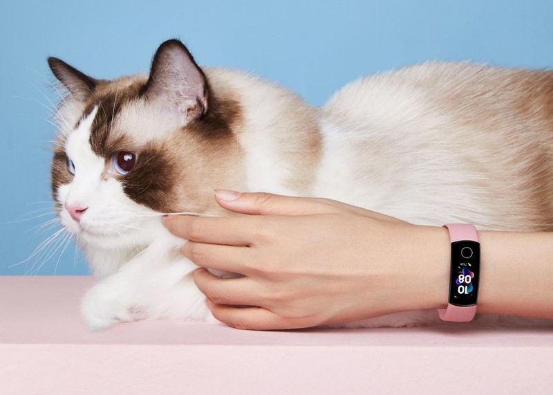 Thiết bị đeo thông minh bao gồm smartband hay smartwatch khiến bạn trẻ thích thú