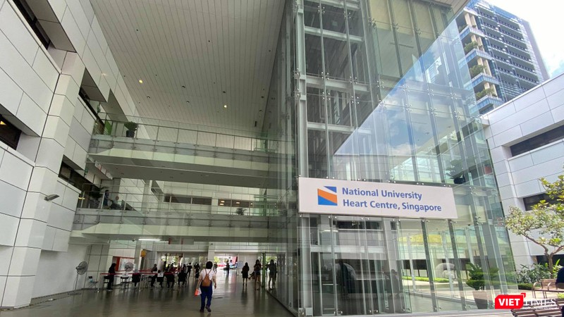 Gần 200 người Việt kẹt lại Singapore gửi đơn tới các cấp có thẩm quyền xin 