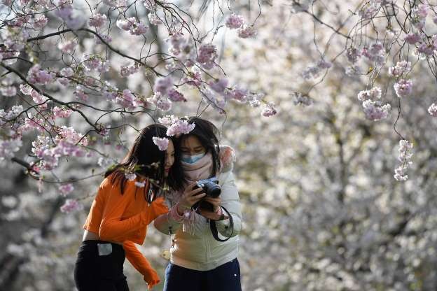 Công viên St. James's ở Luân Đôn, Anh (Ảnh: Reuters)