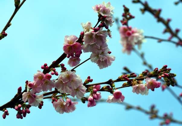 Düsseldorf, Đức (Ảnh: Getty Images)