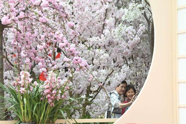 Vườn quốc hoa Flower Dome ở Gardens by the Bay, Singapore (Ảnh: Getty Images)