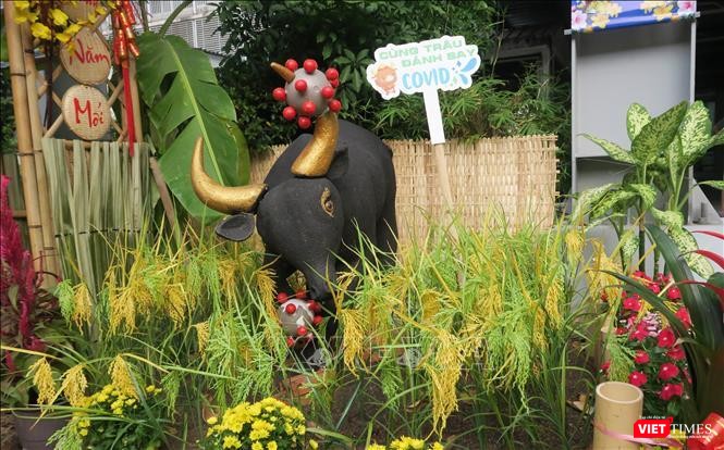 Hình ảnh con trâu đánh bay COVID-19 sinh động của Khoa Nội Tim mạch-Ảnh BVCC Hình ảnh con trâu đánh bay COVID-19 sinh động của Khoa Nội Tim mạch-Ảnh BVCC