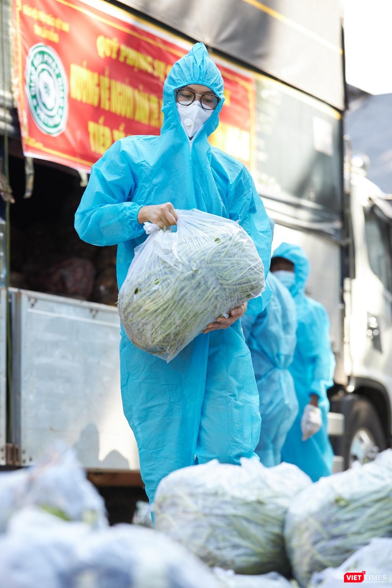 Vũ Hoàng My cùng các Hoa hậu, Á hậu nhiệt tình chung tay