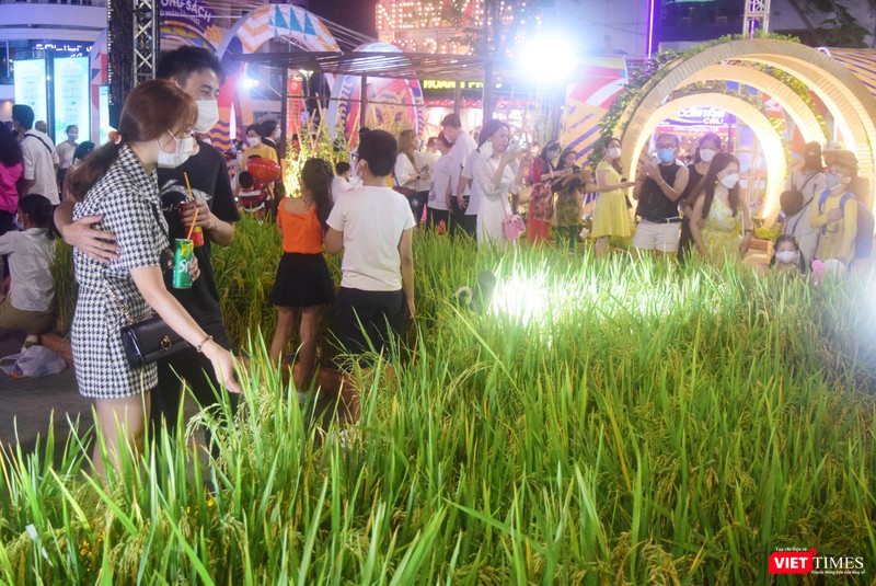 Đường hoa Nguyễn Huệ chào đón hàng triệu lượt người dân TP.HCM đến vui chơi dịp Tết Nhâm Dần. Ảnh: Hoà Bình Đường hoa Nguyễn Huệ chào đón hàng triệu lượt người dân TP.HCM đến vui chơi dịp Tết Nhâm Dần. Ảnh: Hoà Bình