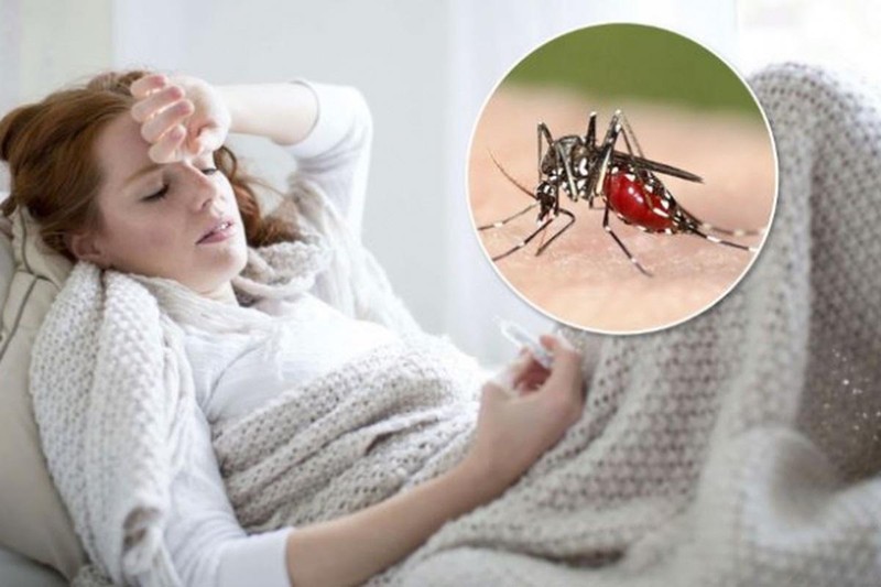 Sốt rét là bệnh truyền nhiễm gây ra bởi ký sinh trùng Plasmodium, lây truyền từ người bệnh sang người lành khi bị muỗi đốt. Ảnh minh họa